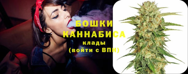 ПСИЛОЦИБИНОВЫЕ ГРИБЫ Бронницы