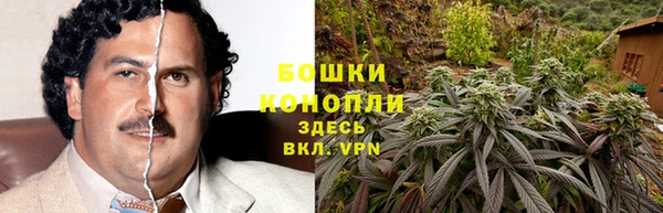 ПСИЛОЦИБИНОВЫЕ ГРИБЫ Бронницы